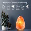 Eye Bee's Himalayan Salt Lamp